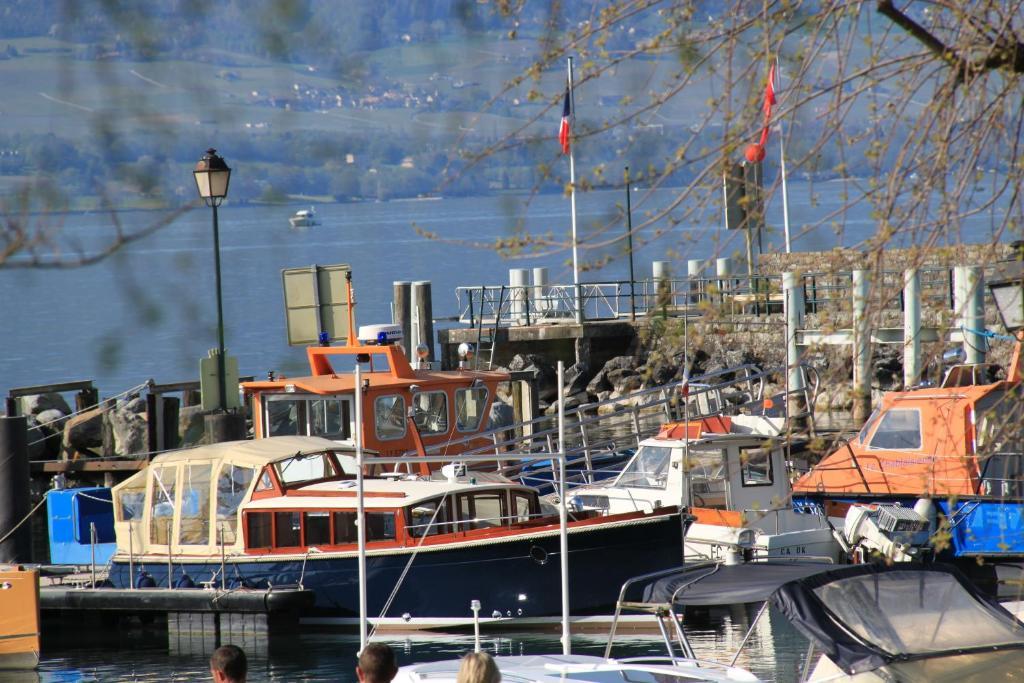 Hotel Restaurant Du Port Yvoire Bagian luar foto